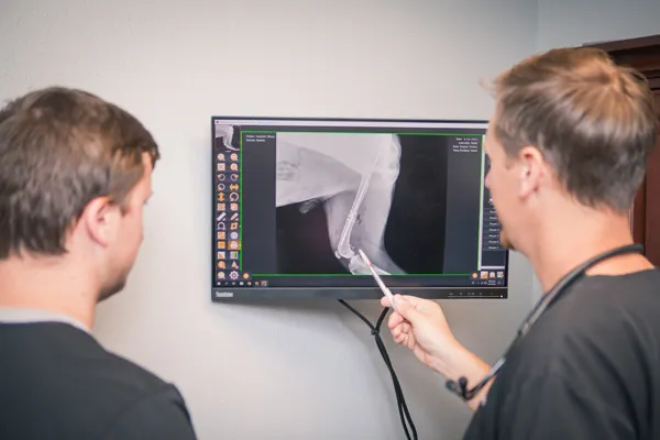 Veterinary team reviewing a digital X-ray
