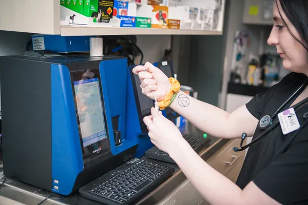 Team member running a blood sample on the in-house analyzer